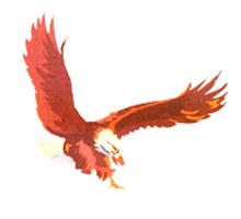 eagle.jpg (6878 bytes)